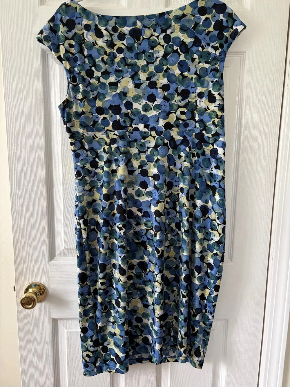 DressBarn Blue Printed Cap-Sleeve Gathered Waist Dress